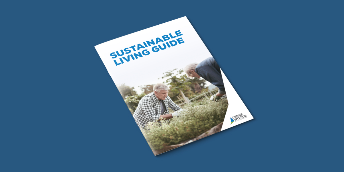 GLEN_Featured Image_sustainable living guide