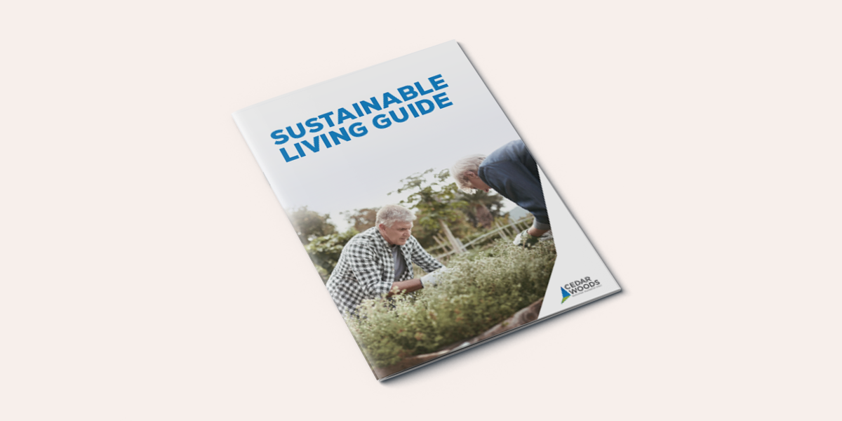 soko-madeley-ebook-sustainability
