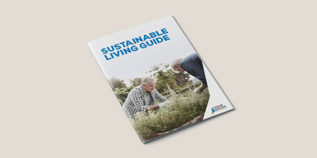 SALV Featured Image - Sustainable eBook