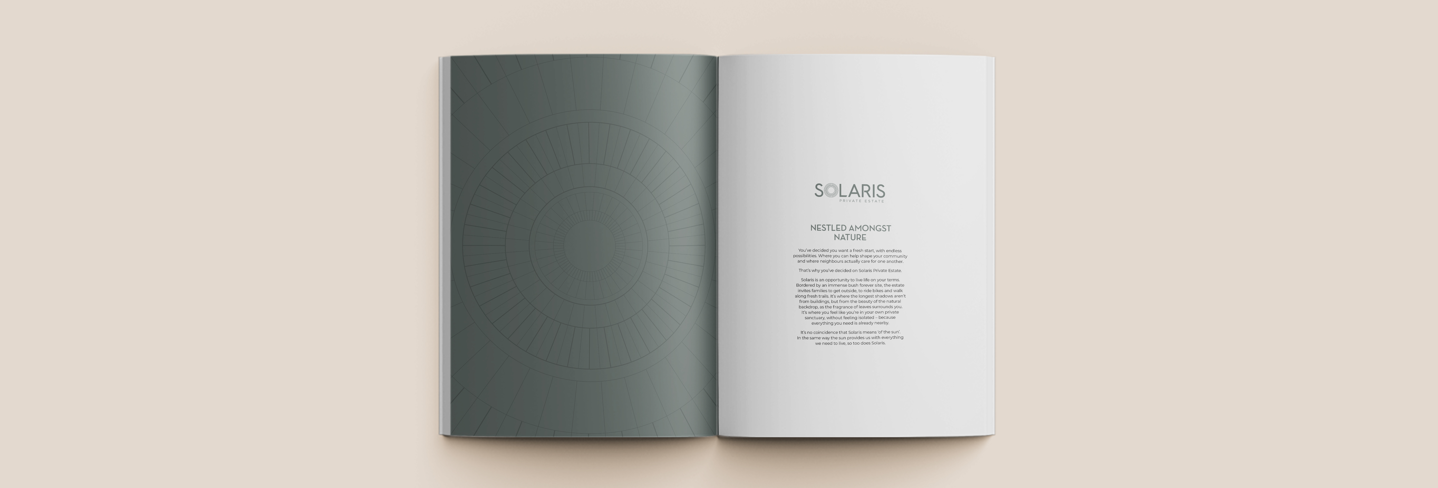 Solaris Project Brochure 1